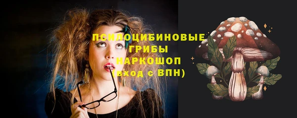 прущие крисы Богданович
