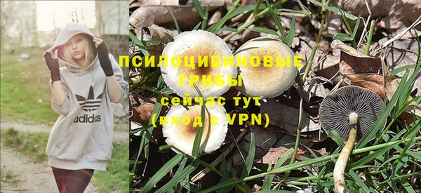МДМА Богородицк