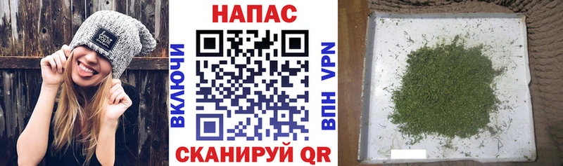 площадка состав Буй Шишки марихуана гибрид закладка